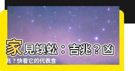 看 到 蜈蚣代表什麼|【看到蜈蚣代表什麼】家見蜈蚣：吉兆？凶兆？快看它。